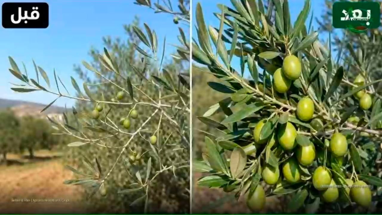 قبل أجروميكس